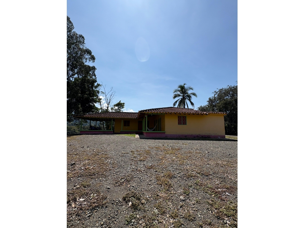 VENTA FINCA, BETULIA SUROESTE ANTIOQUEÑO - 2