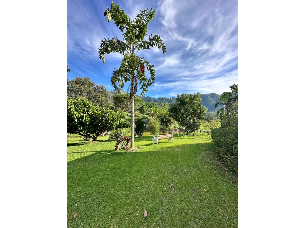 VENTA FINCA VENECIA, SUROESTE ANTIOQUEÑO — foto 4