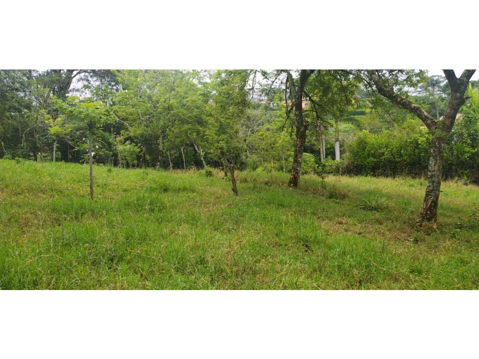 VENTA LOTE VENECIA, SUROESTE ANTIOQUEÑO - 1