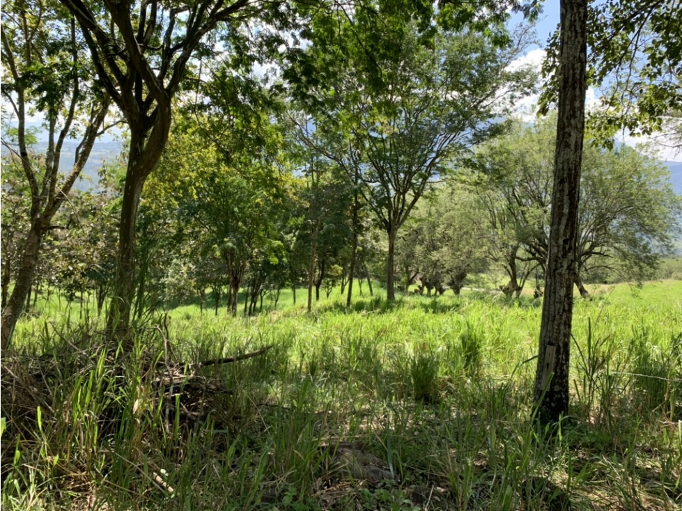 VENTA LOTE FREDONIA SUROESTE ANTIOQUEÑO - 3