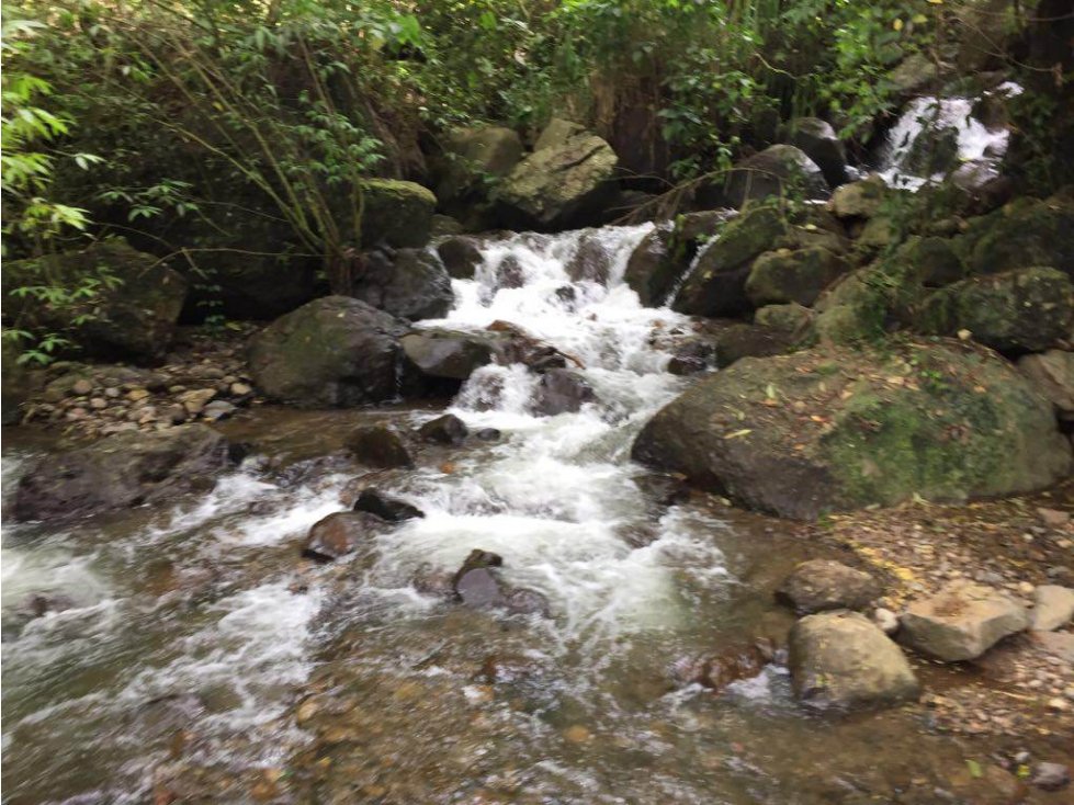 VENTA LOTE JERICO, SUROESTE ANTIOQUEÑO. - 2