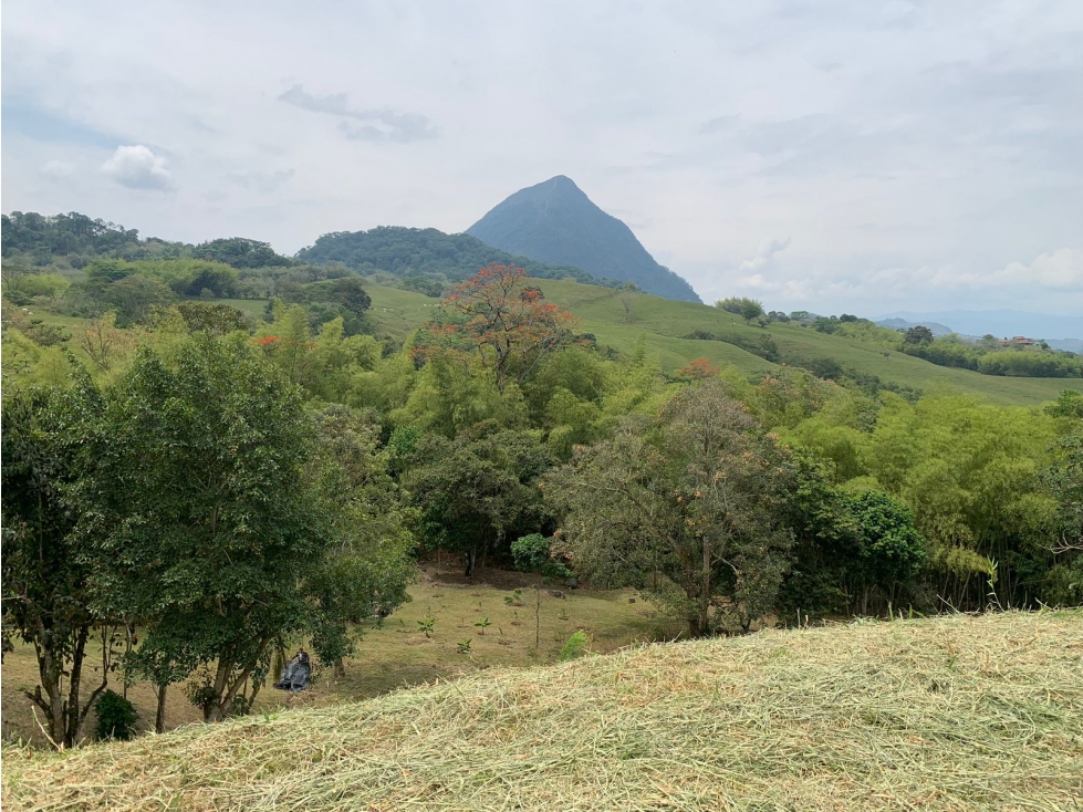 VENTA LOTE VENECIA, SUROESTE ANTIOQUEÑO - 2