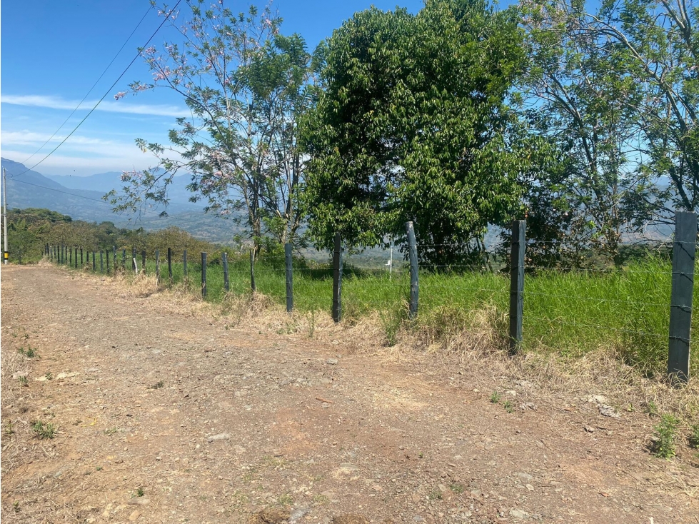 VENTA LOTE VALPARAISO, - SUROESTE ANTIOQUEÑO — foto 4