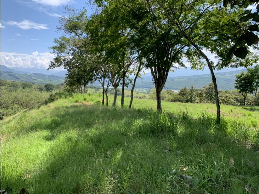 VENTA LOTE FREDONIA SUROESTE ANTIOQUEÑO - 4