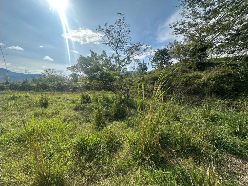 VENTA LOTE LA SIRIA - SUROESTE ANTIOQUEÑO AMAGÁ - 2