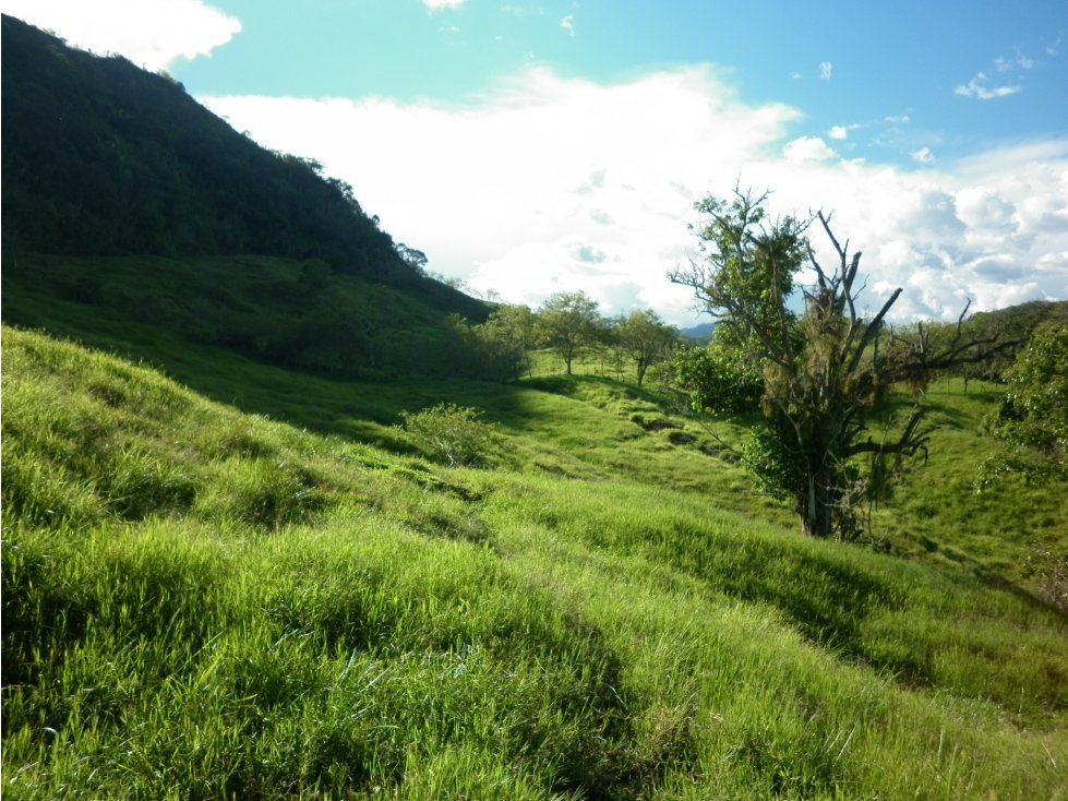 Lote / Terreno Suroeste Antioqueño Codigo 76644 - 6