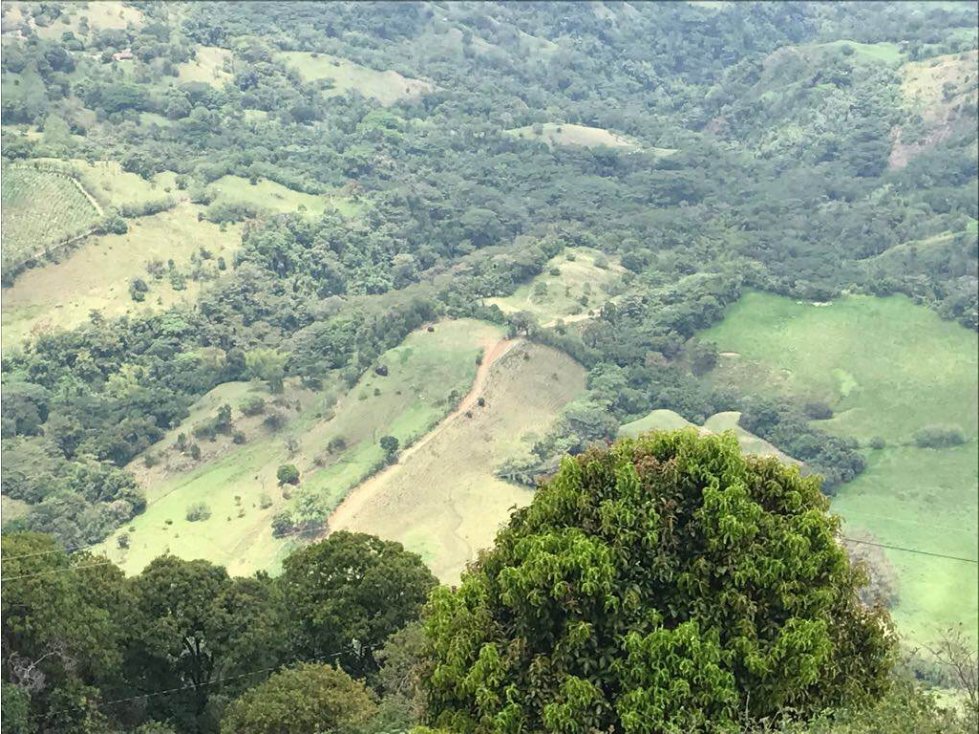 VENTA LOTE JERICO, SUROESTE ANTIOQUEÑO. - 3