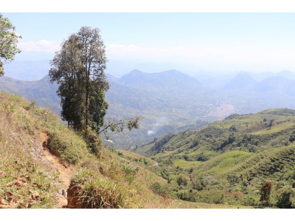VENTA FINCA CARAMANTA, SUROESTE ANTIOQUEÑO - 3