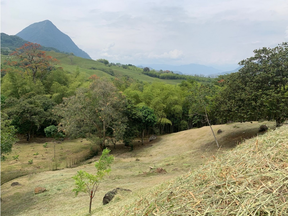 VENTA LOTE VENECIA, SUROESTE ANTIOQUEÑO - 3