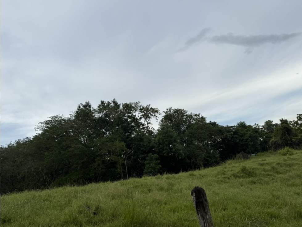 VENTA LOTE FREDONIA SUROESTE ANTIOQUEÑO - 5