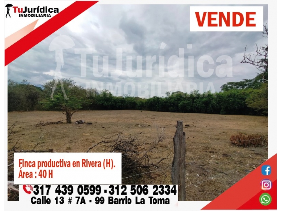 SE VENDE FINCA EN RIVERA (HUILA-COL) 40H CON AGUA - 1