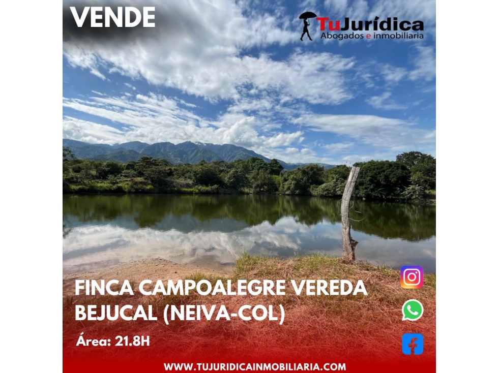 SE VENDE ESPECTACULAR FINCA - VEREDA BEJUCAL (CAMPOALEGRE-HUI-CO) - 5