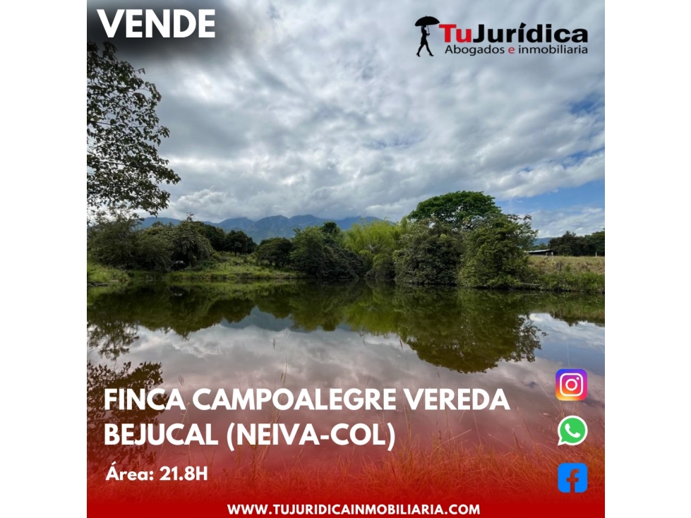 SE VENDE ESPECTACULAR FINCA - VEREDA BEJUCAL (CAMPOALEGRE-HUI-CO) - 6