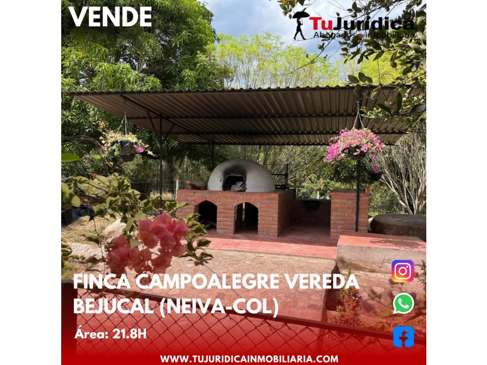 SE VENDE ESPECTACULAR FINCA - VEREDA BEJUCAL (CAMPOALEGRE-HUI-CO) - 3