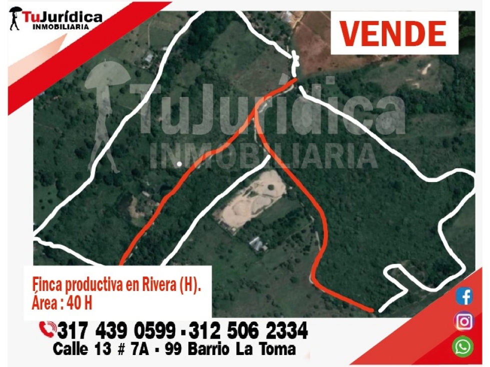 SE VENDE FINCA EN RIVERA (HUILA-COL) 40H CON AGUA - 2