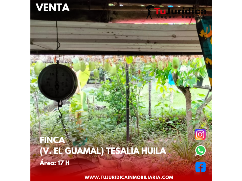 SE VENDE ESPECTACULAR FINCA V. EL GUAMAL TESALIA (HUI-COL) - 4