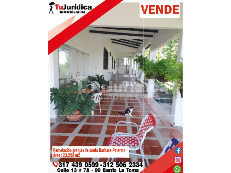 SE ARRIENDA HERMOSA FINCA - PALERMO (HUILA - COLOMBIA) - 2