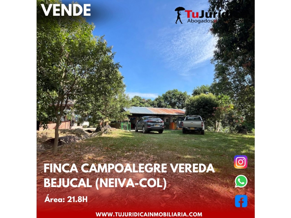 SE VENDE ESPECTACULAR FINCA - VEREDA BEJUCAL (CAMPOALEGRE-HUI-CO) - 1