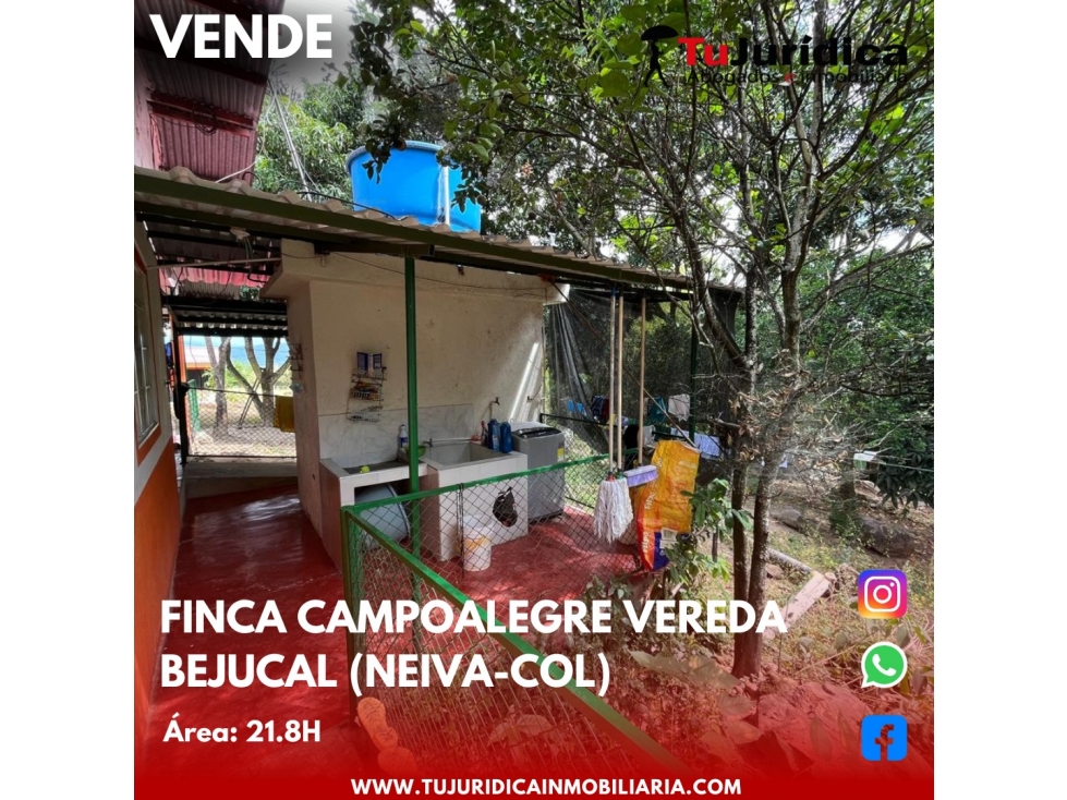 SE VENDE ESPECTACULAR FINCA - VEREDA BEJUCAL (CAMPOALEGRE-HUI-CO) - 2