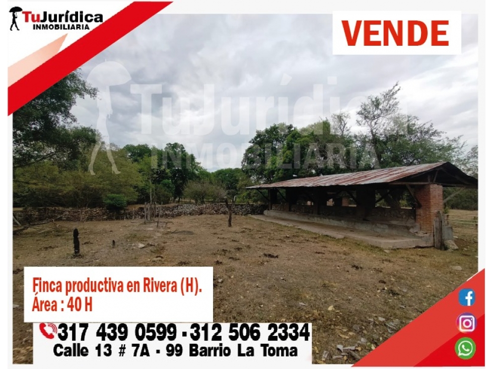 SE VENDE FINCA EN RIVERA (HUILA-COL) 40H CON AGUA - 3