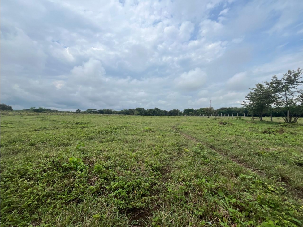 SE VENDE LOTE VEREDA ARENOSO (RIVERA-HUILA) - 3