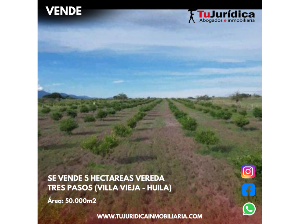 SE VENDE 5 HECTAREAS VEREDA TRES PASOS (VILLA VIEJA - HUILA) — foto 4
