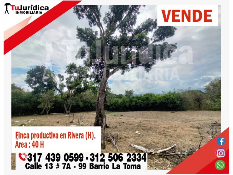 SE VENDE FINCA EN RIVERA (HUILA-COL) 40H CON AGUA - 4