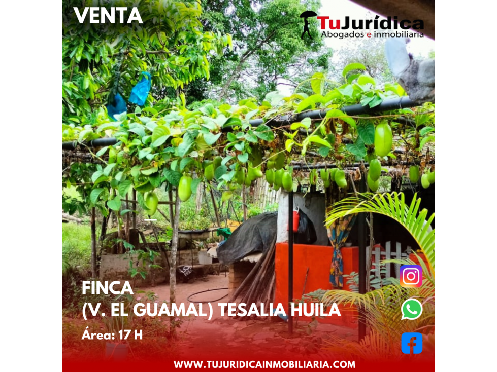 SE VENDE ESPECTACULAR FINCA V. EL GUAMAL TESALIA (HUI-COL) - 1