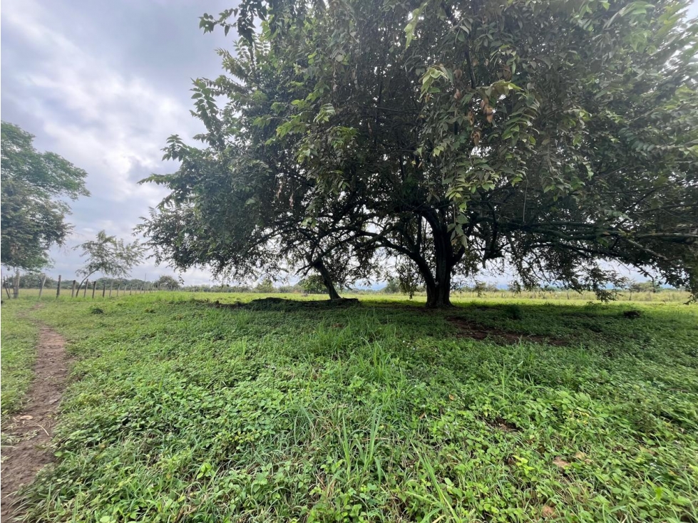 SE VENDE LOTE VEREDA ARENOSO (RIVERA-HUILA) - 4