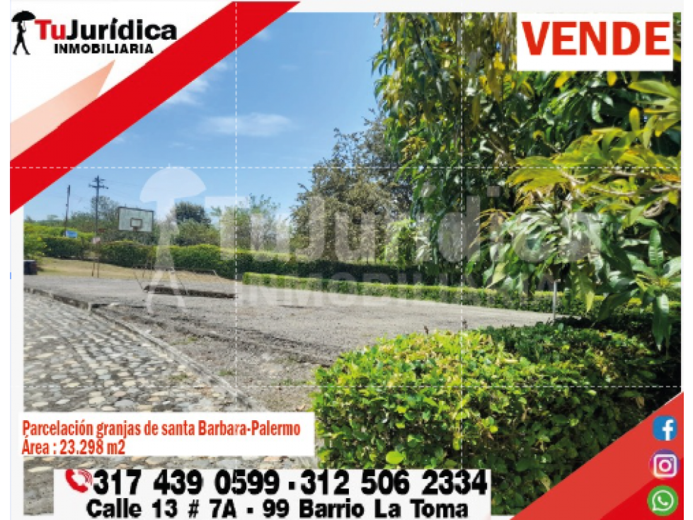 SE ARRIENDA HERMOSA FINCA - PALERMO (HUILA - COLOMBIA) - 4