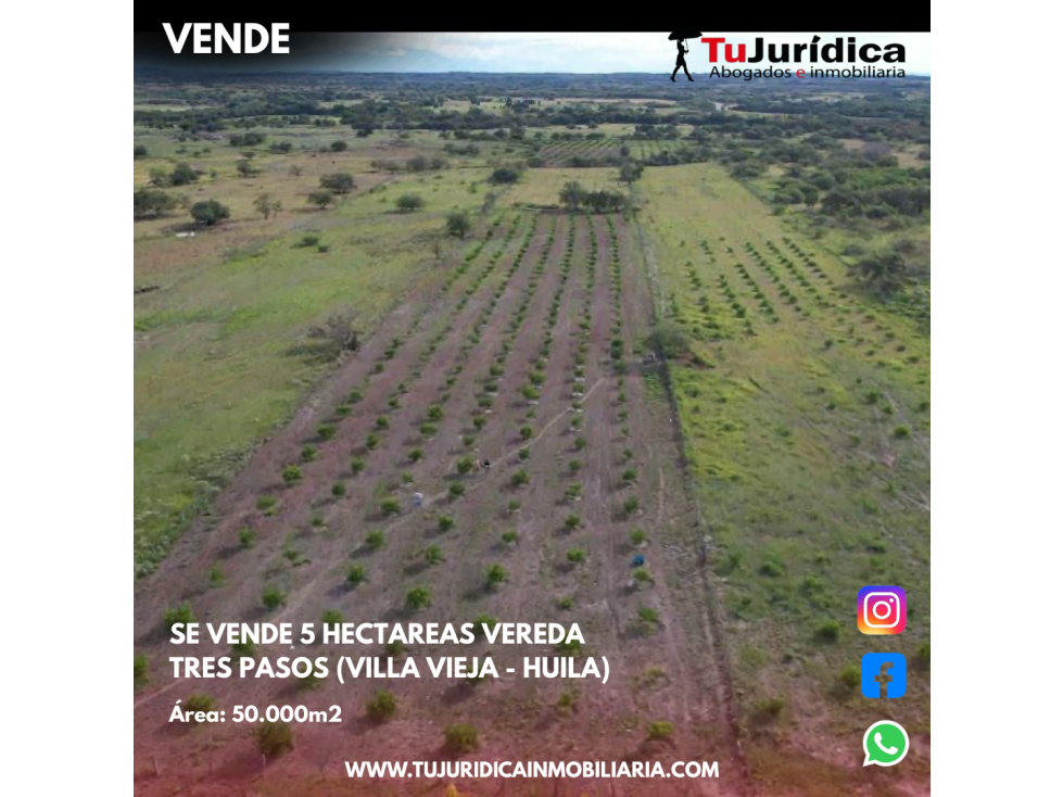 SE VENDE 5 HECTAREAS VEREDA TRES PASOS (VILLA VIEJA - HUILA) — foto 5