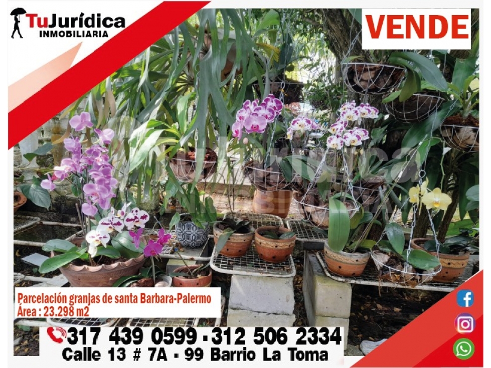 SE VENDE HERMOSA FINCA - PALERMO (HUILA - COLOMBIA) - 5