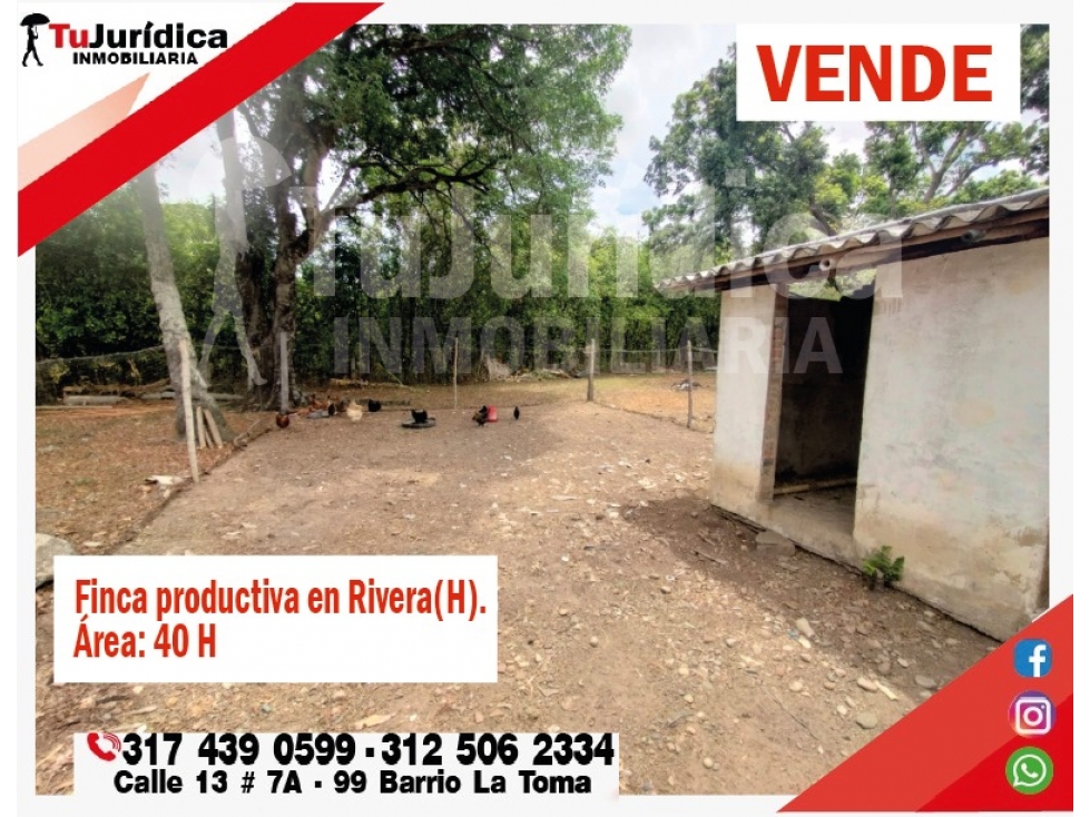 SE VENDE FINCA EN RIVERA (HUILA-COL) 40H CON AGUA - 5