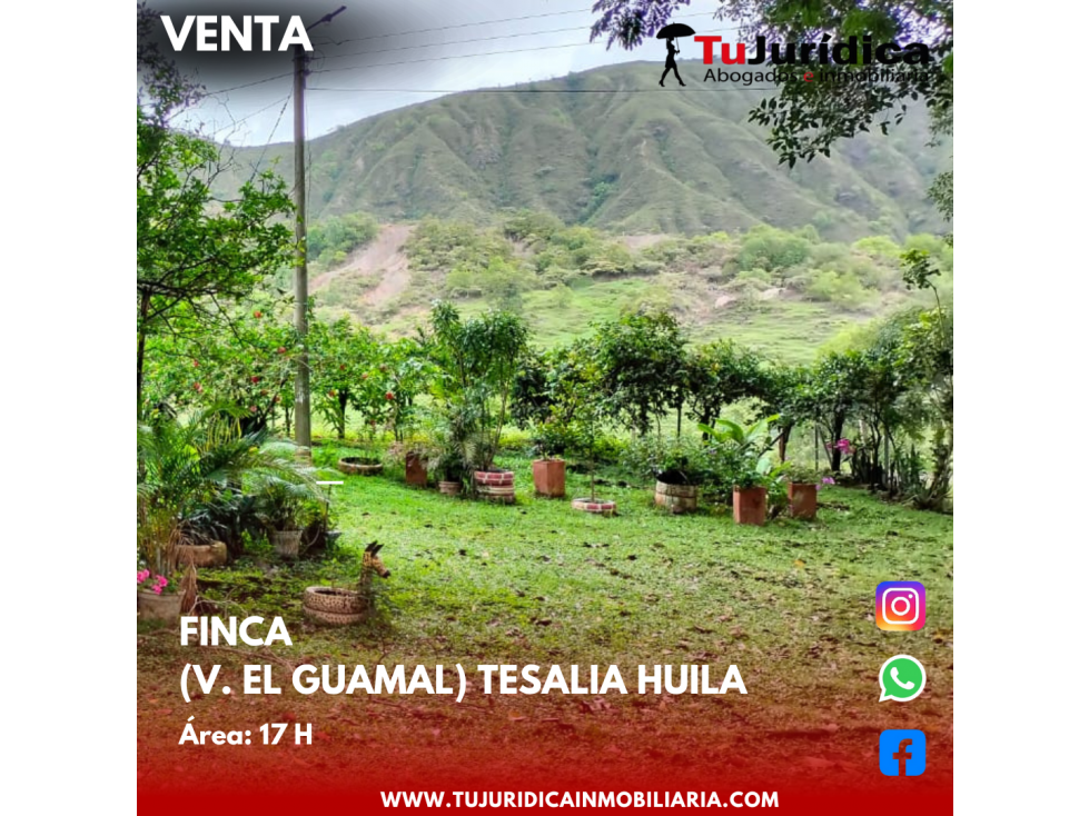 SE VENDE ESPECTACULAR FINCA V. EL GUAMAL TESALIA (HUI-COL) - 6