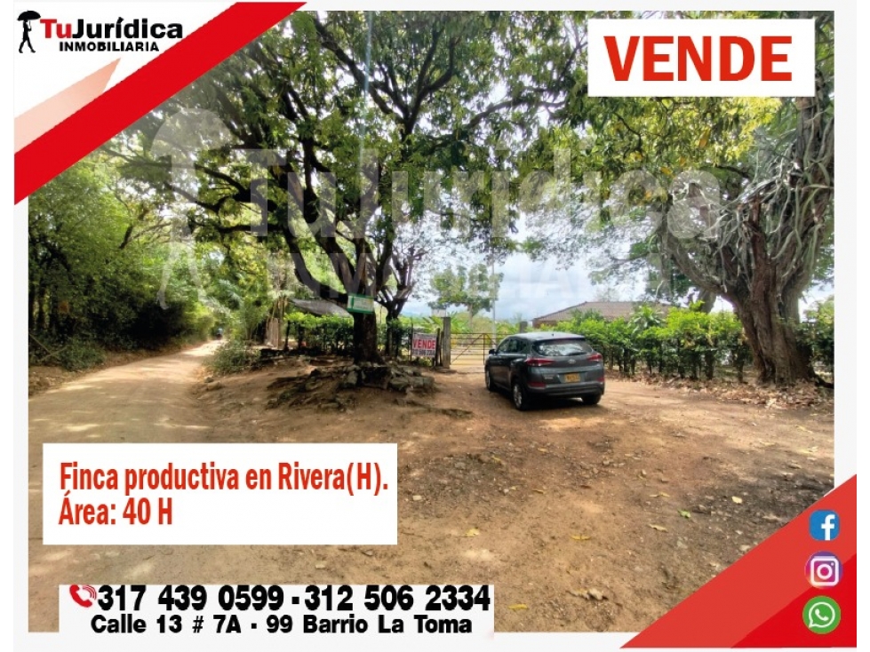 SE VENDE FINCA EN RIVERA (HUILA-COL) 40H CON AGUA - 6