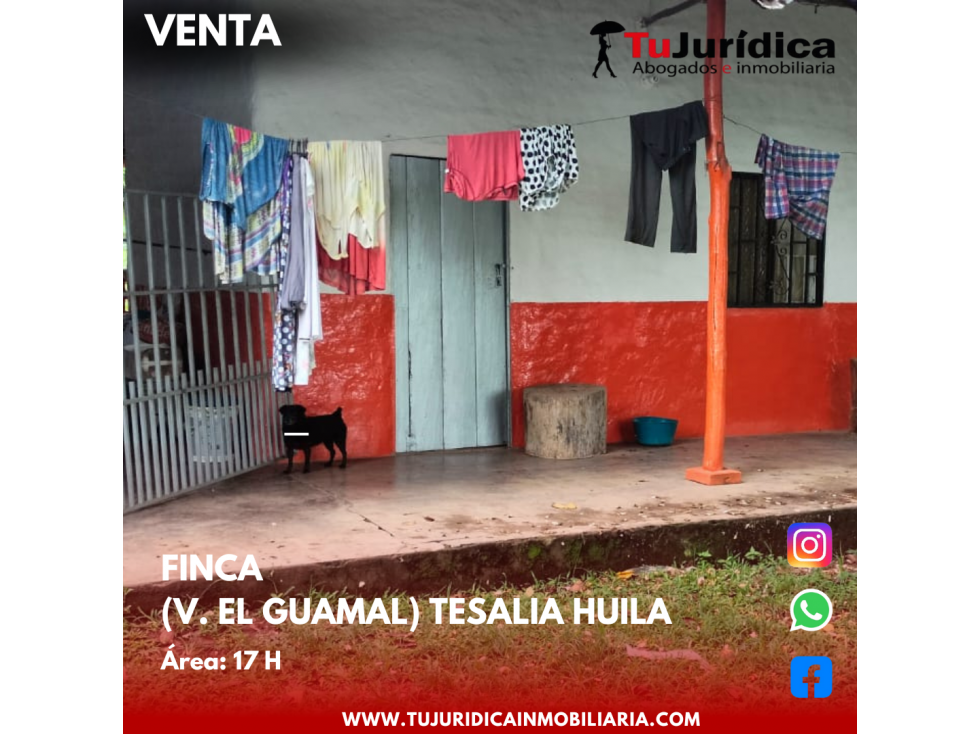 SE VENDE ESPECTACULAR FINCA V. EL GUAMAL TESALIA (HUI-COL) - 2