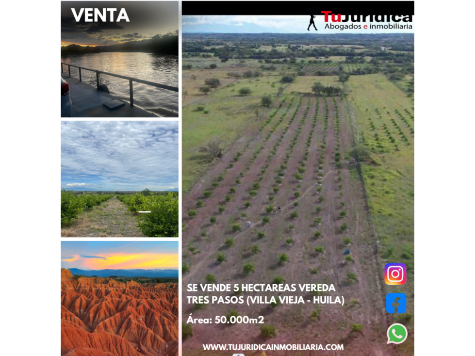 SE VENDE 5 HECTAREAS VEREDA TRES PASOS (VILLA VIEJA - HUILA)