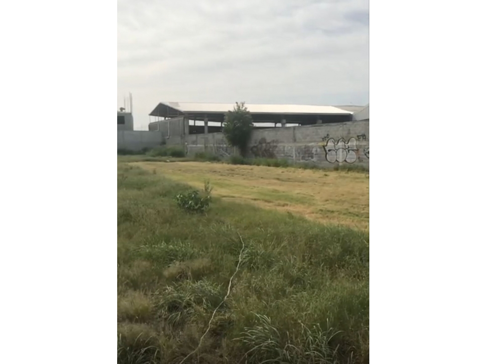 TERRENO EN VENTA EN APODACA EL MEZQUITAL - 5
