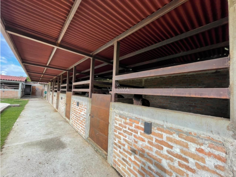 Se Vende Casa Campestre en Cafelia — foto 3