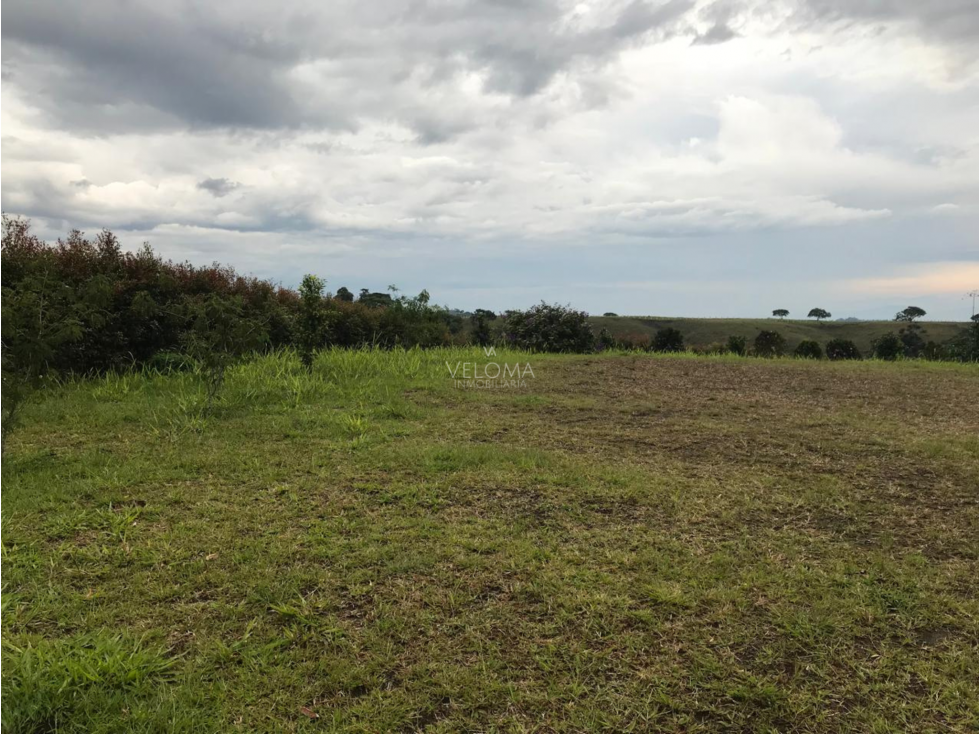 Se Vende Lote en Condina