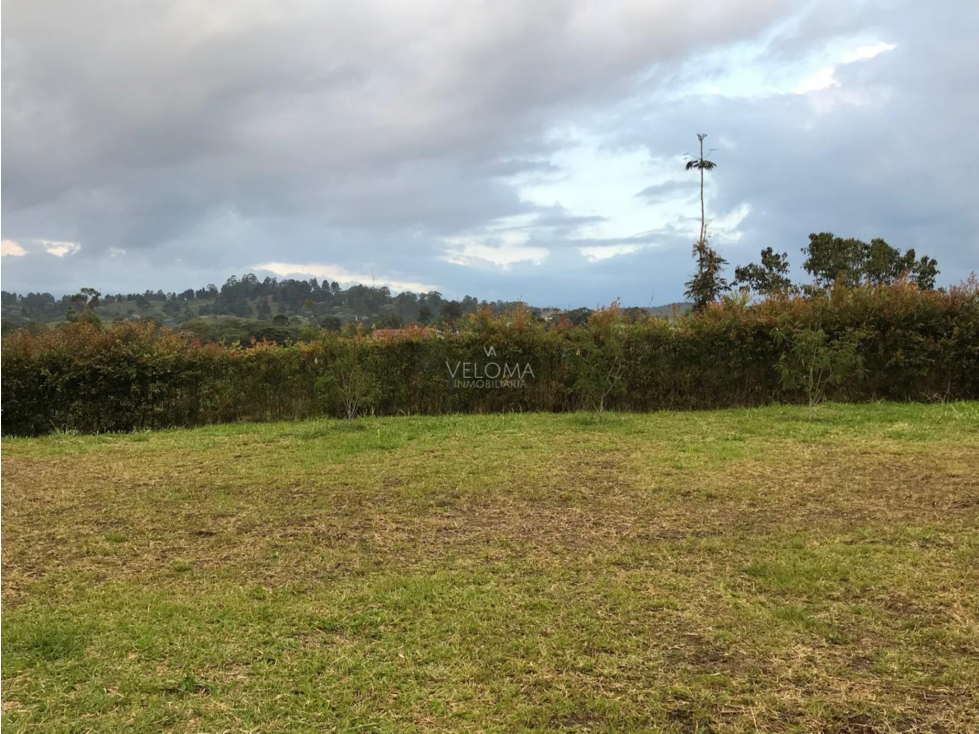 Se Vende Lote en Condina — foto 2