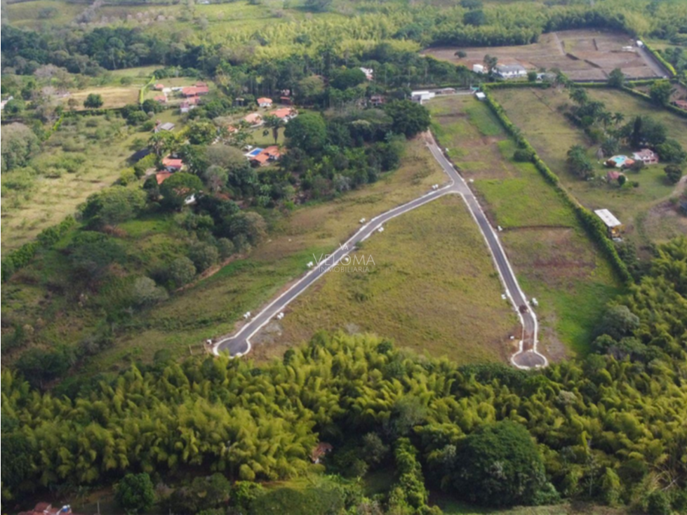Se Venden Lotes Campestres en Cerritos - Vía La Virginia — foto 2