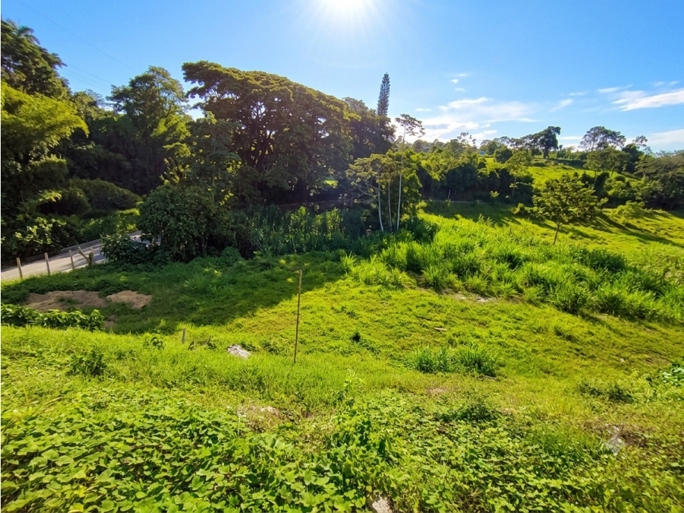 Lote en Venta en Montenegro — foto 4