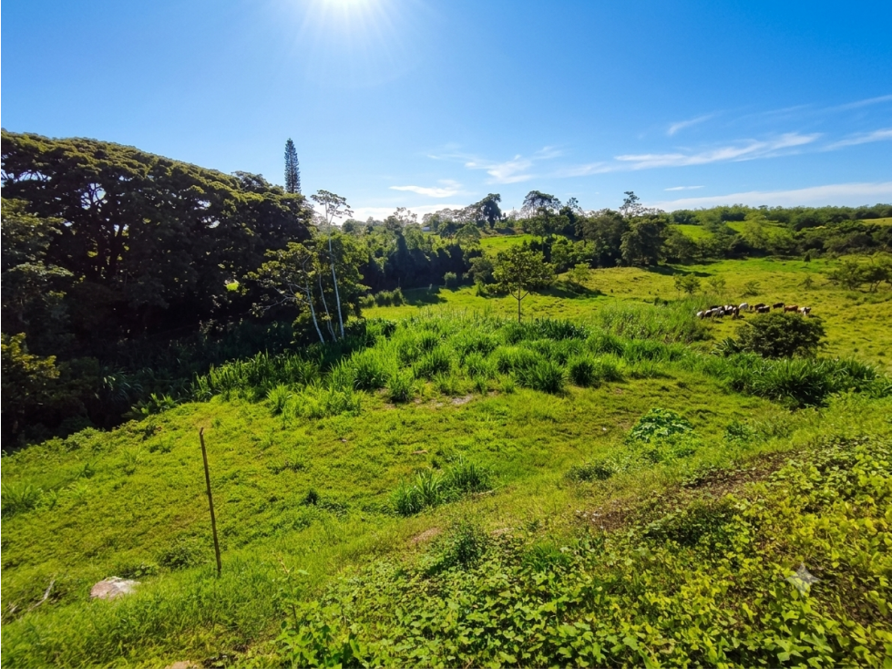 Lote en Venta en Montenegro — foto 5