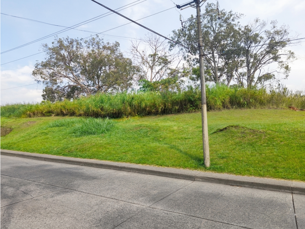 Lote Pereira Avenida Americas