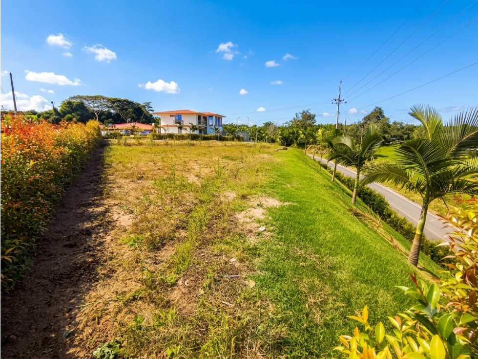 Lotes en Venta Montenegro — foto 5