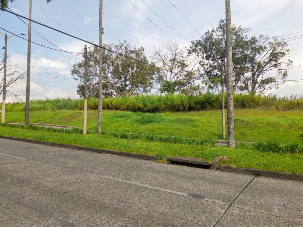 Lote Pereira Avenida Americas — foto 4