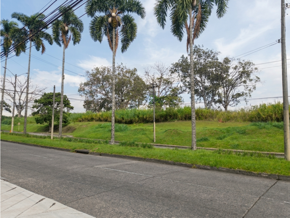 Lote Pereira Avenida Americas — foto 6