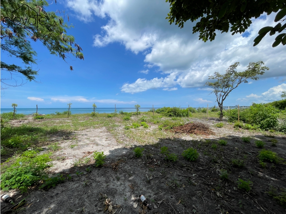 Terreno Frente Al Mar en Nueva Gorgona Malibu, Chame (Oportunidad) — foto 3