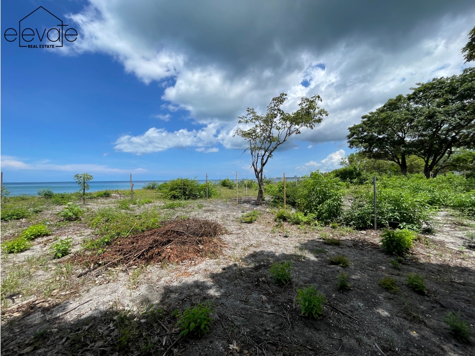 Terreno Frente Al Mar en Nueva Gorgona Malibu, Chame (Oportunidad) — foto 4